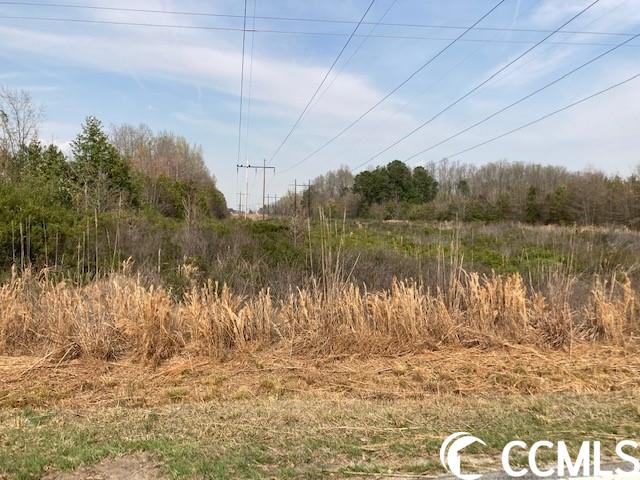 174 Harpers Road Marion, SC 29571 - Photo 3 of 5 Gallery Image 3