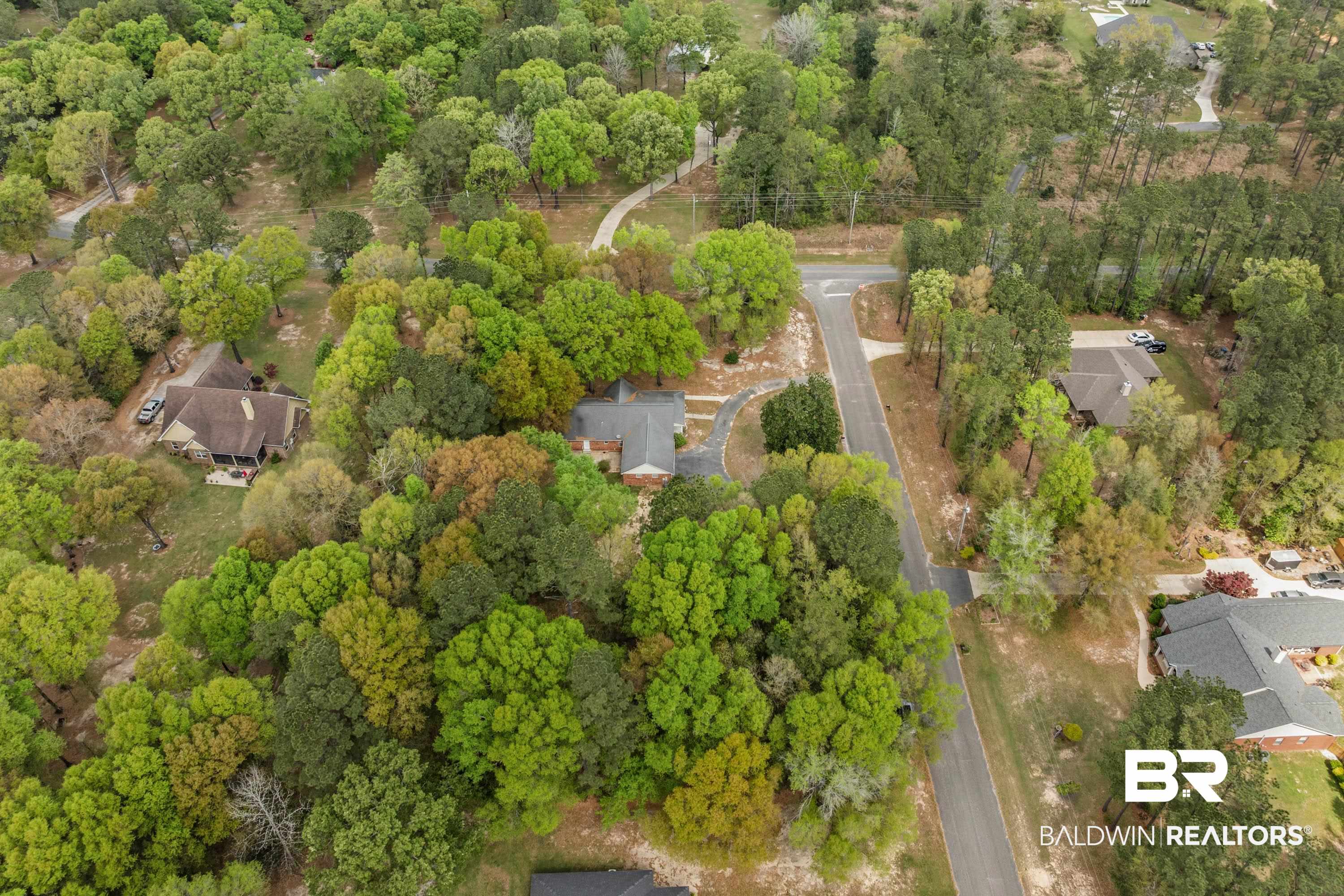 10140 Lakeview Road Bay Minette, AL 36507 - Photo 34 of 35 Aerial view