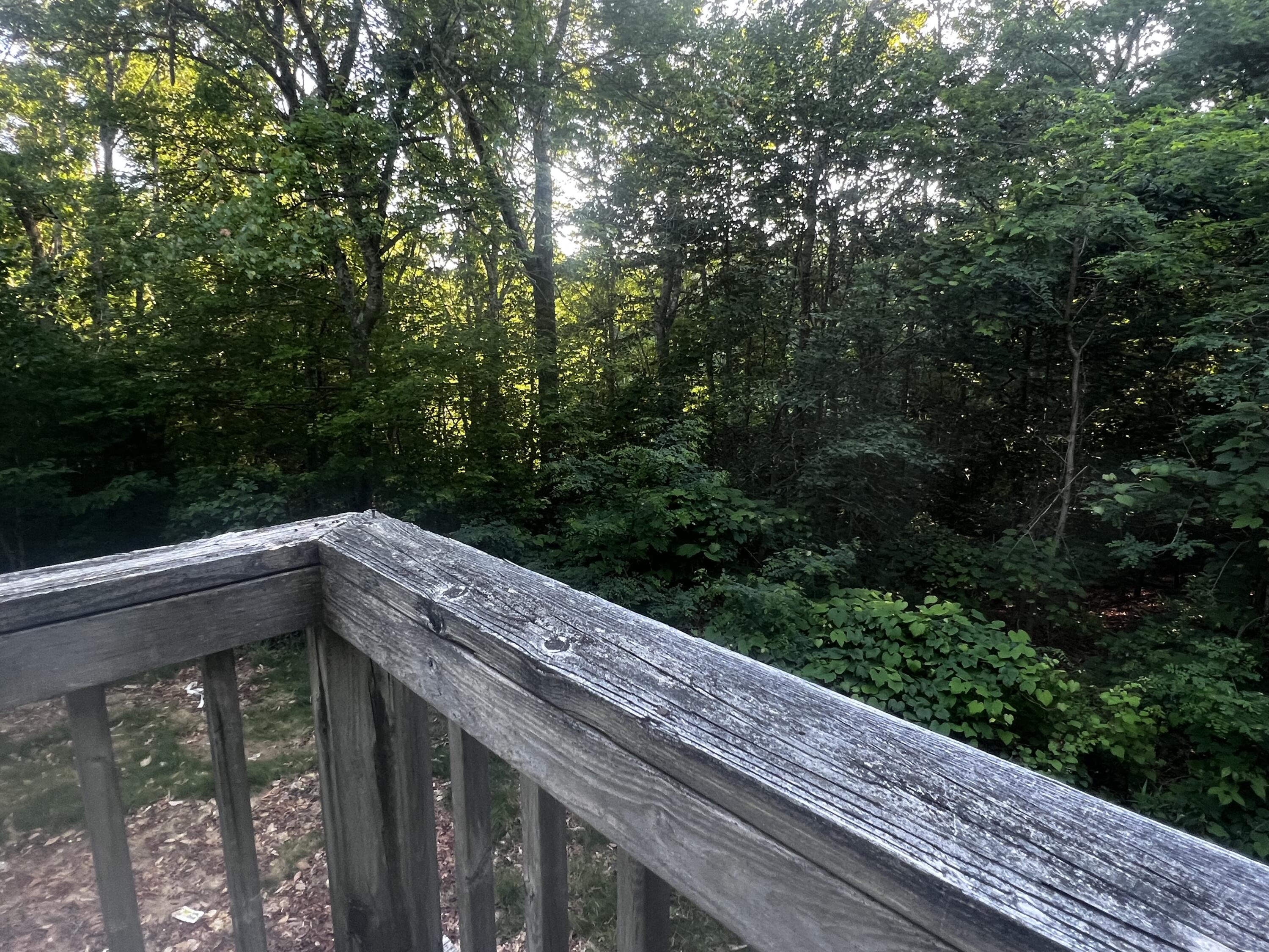 129 Deerfoot Circle Mashpee, MA 02649 - Photo 9 of 11 a view of balcony and deck
