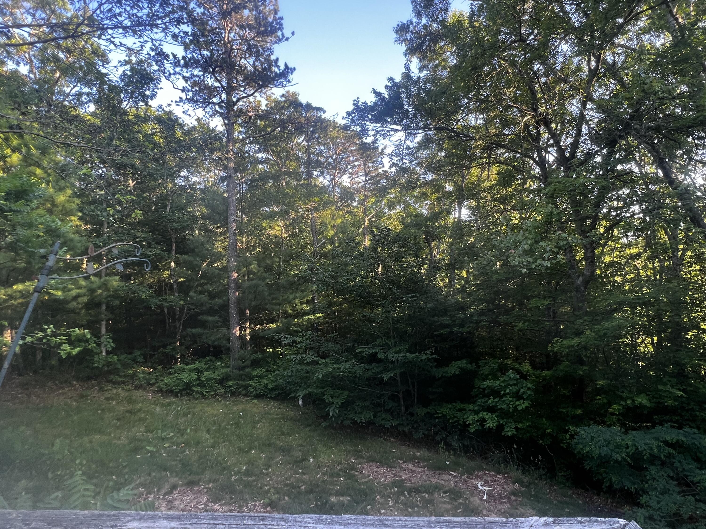 129 Deerfoot Circle Mashpee, MA 02649 - Photo 10 of 11 a view of a forest with trees in front of it