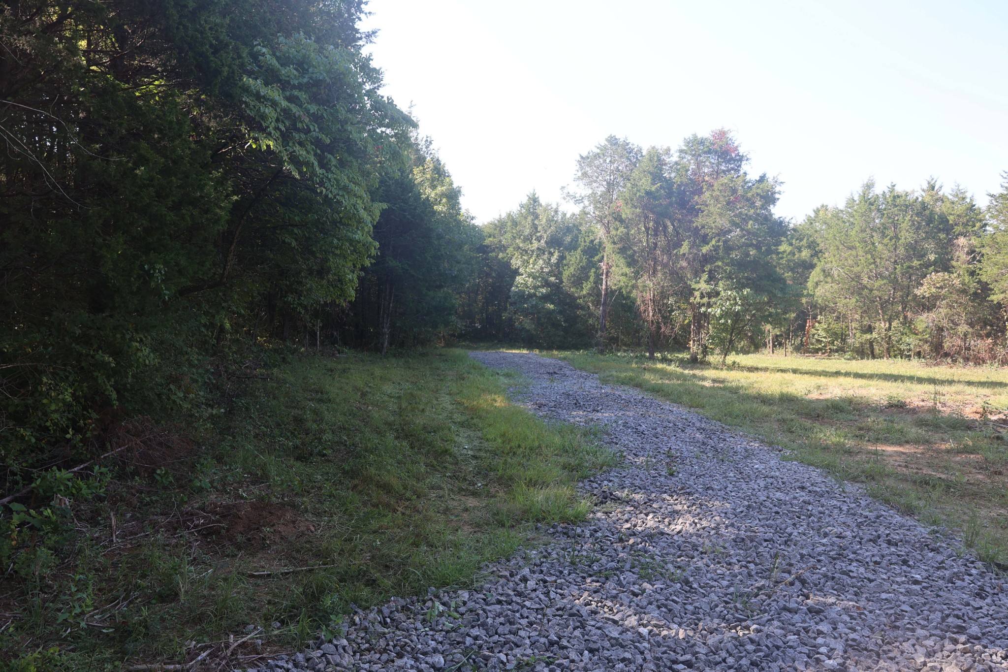 3652 Hill Road Eagleville, TN 37060 - Photo 13 of 17 Gallery Image 13