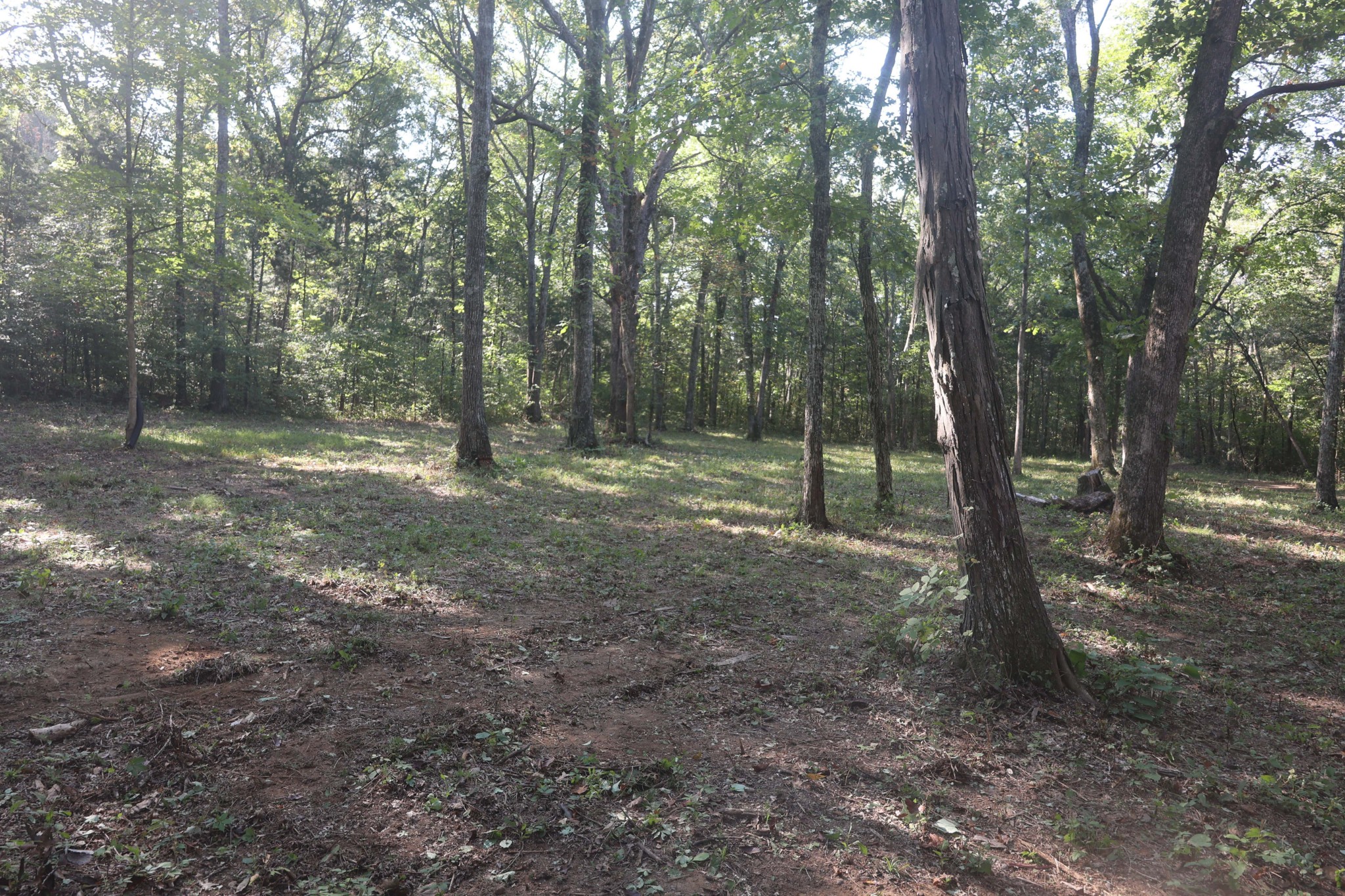 3652 Hill Road Eagleville, TN 37060 - Photo 14 of 17 Gallery Image 14