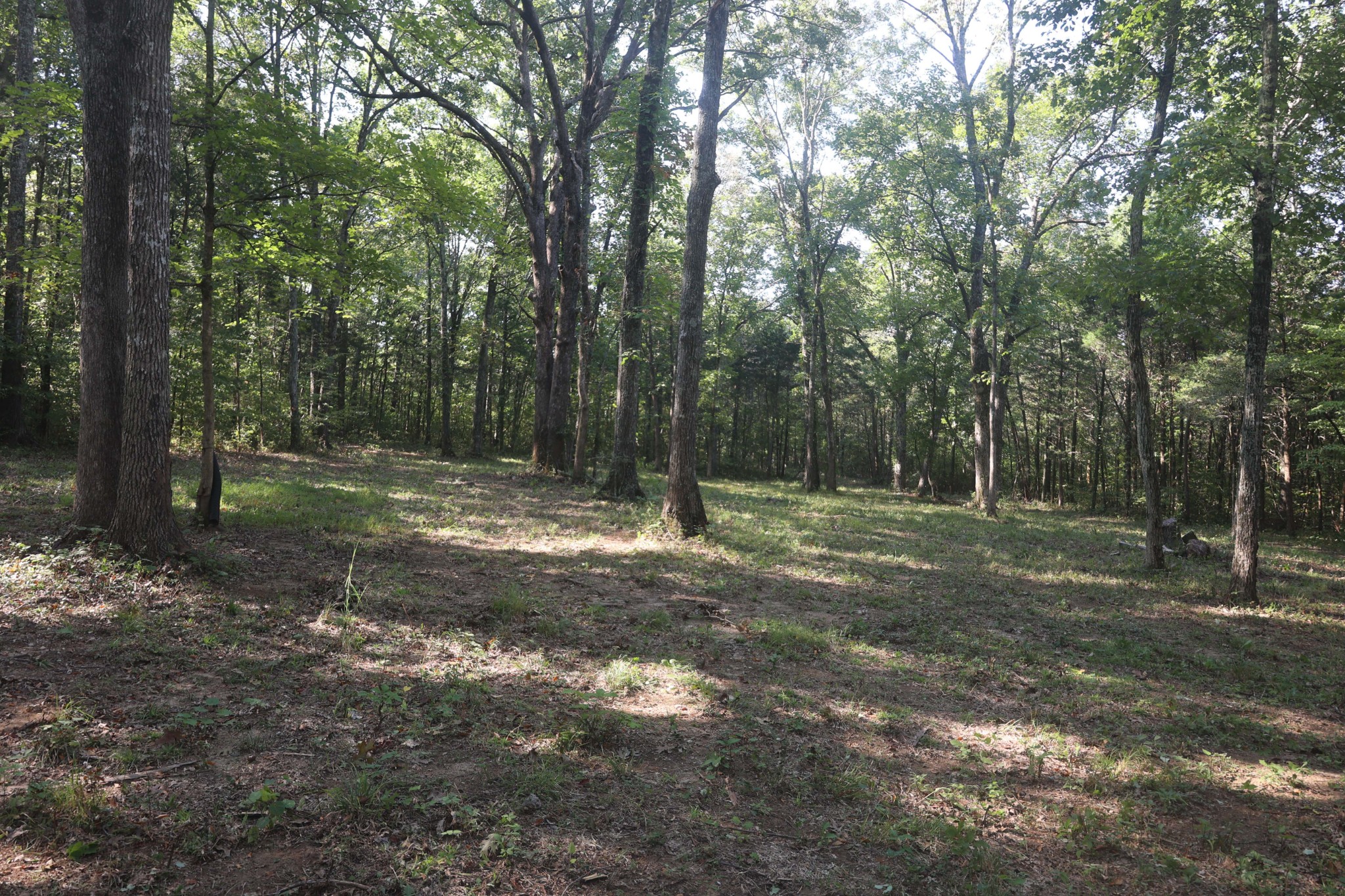 3652 Hill Road Eagleville, TN 37060 - Photo 15 of 17 Gallery Image 15