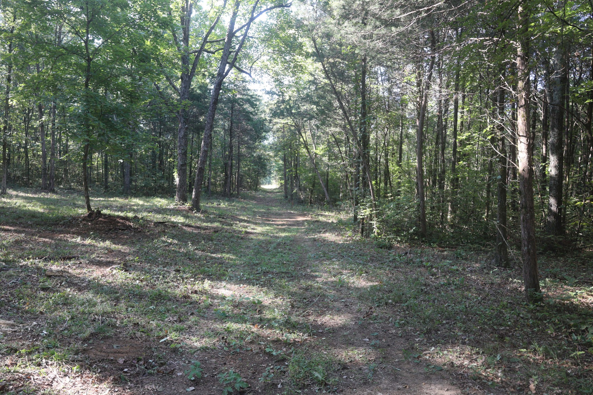 3652 Hill Road Eagleville, TN 37060 - Photo 16 of 17 Gallery Image 16