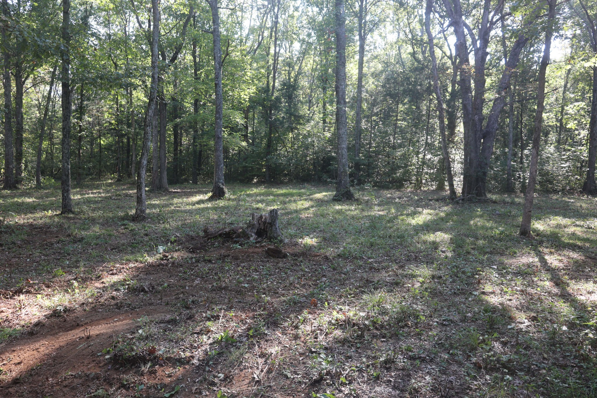 3652 Hill Road Eagleville, TN 37060 - Photo 17 of 17 Gallery Image 17