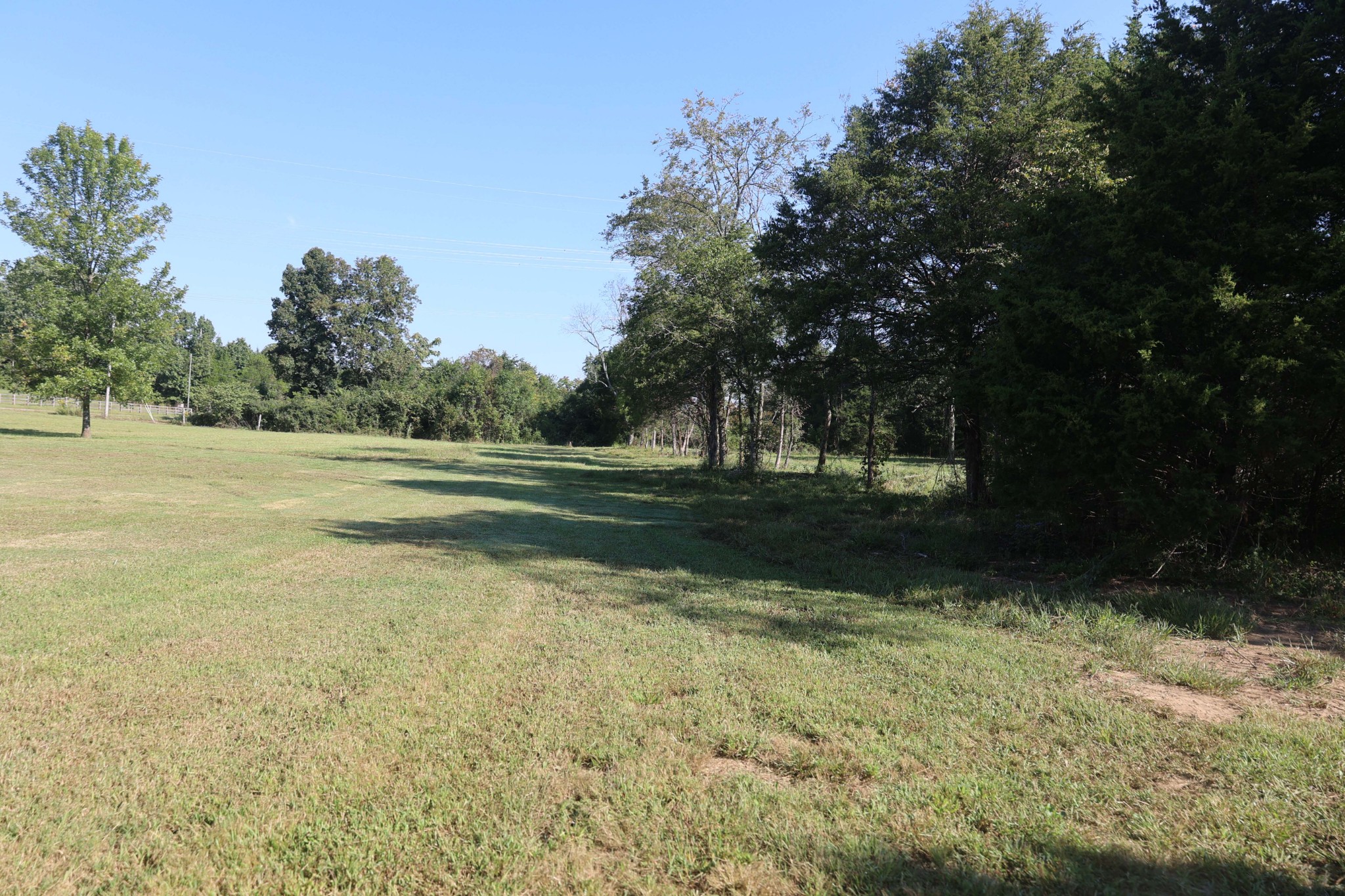 3652 Hill Road Eagleville, TN 37060 - Photo 9 of 17 Gallery Image 9