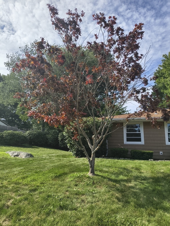 28 Delmar Road Brockton, MA 02302 - Photo 6 of 35 Gallery Image 6