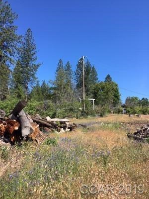 6321 Old Emigrant Trail, Unit 123 Mountain Ranch, CA 95246 - Photo 2 of 7 a view of a yard with a house