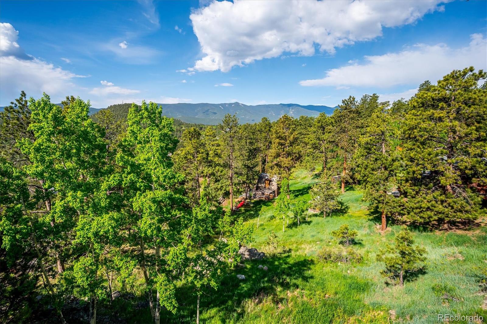 429 Overlook Drive Bailey, CO 80421 - Photo 28 of 36 a view of a bunch of trees