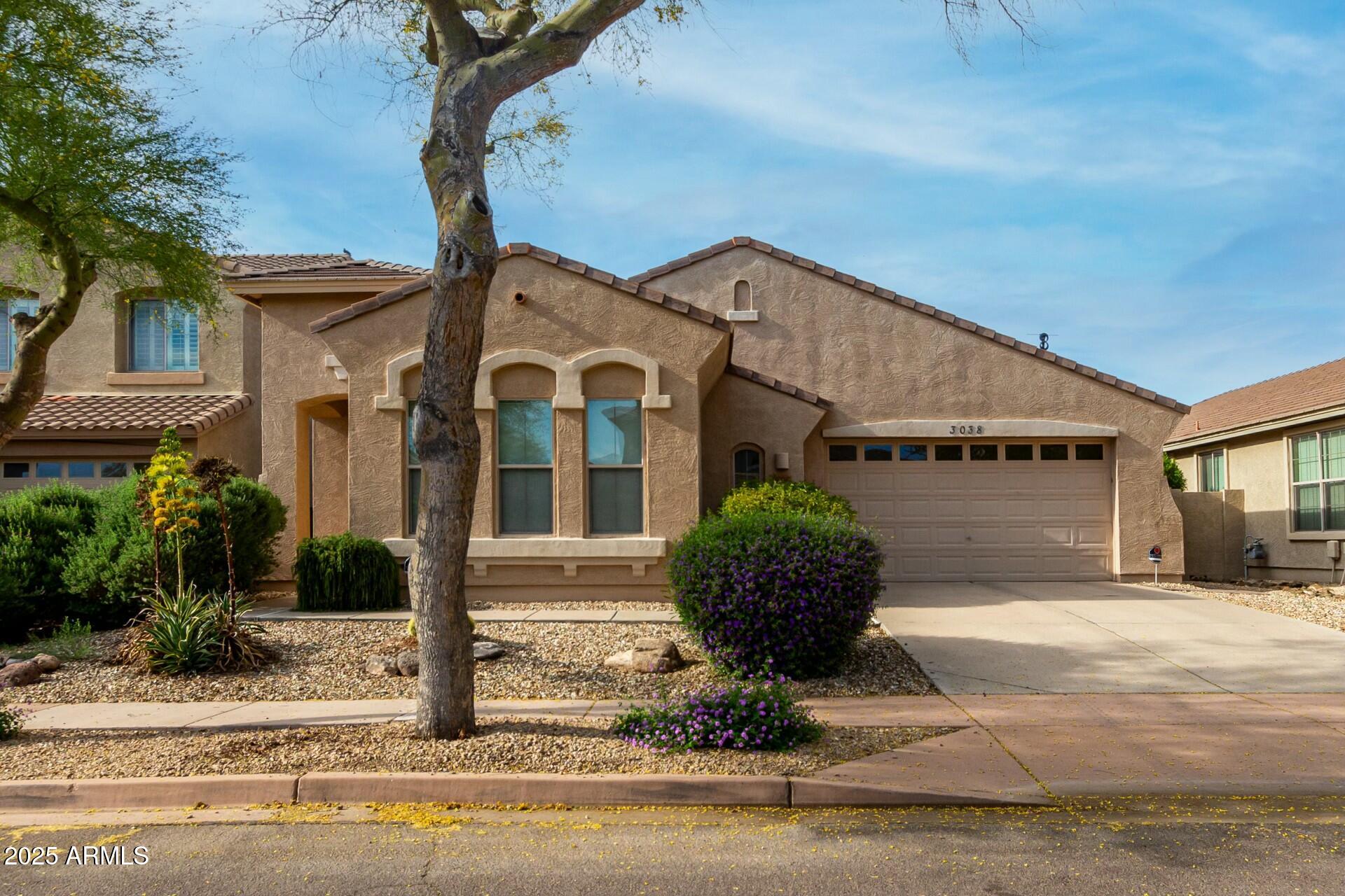 3038 West Trapanotto Road Phoenix, AZ 85086 - Photo 1 of 15 a front view of a house with garden and plants