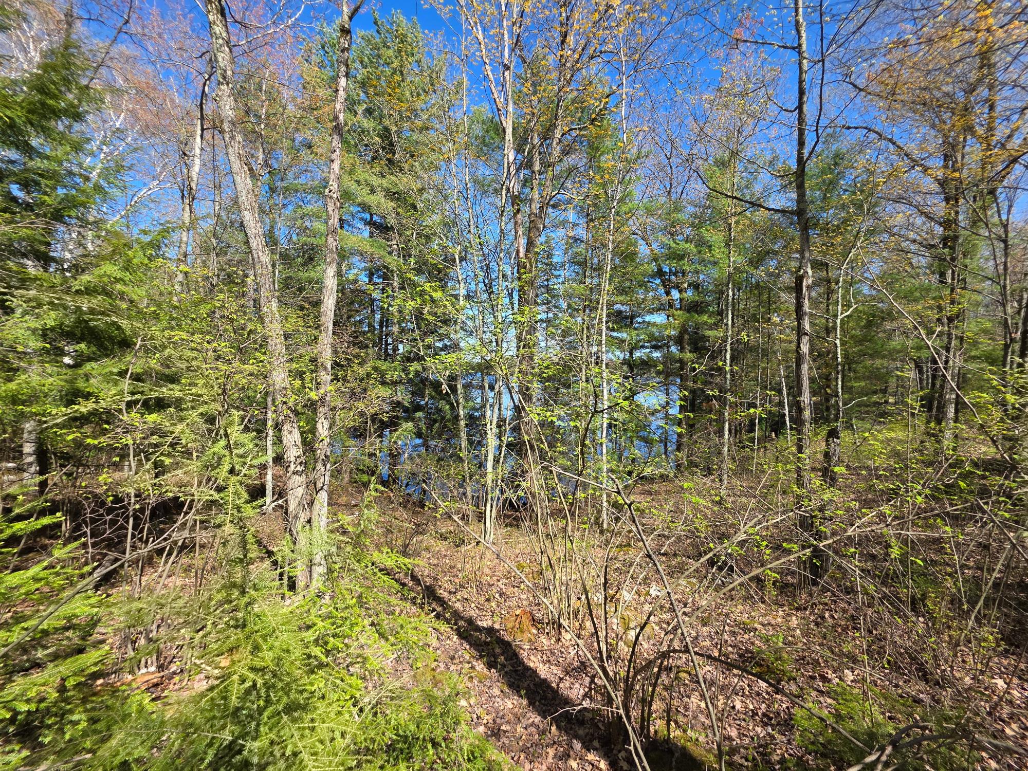 On Shady Shore Road West Tomahawk, WI 54487 - Photo 6 of 22