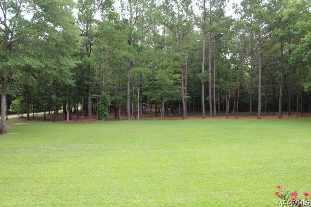 896 Doe Run Road Newton, AL 36352 - Photo 34 of 36 Gallery Image 34
