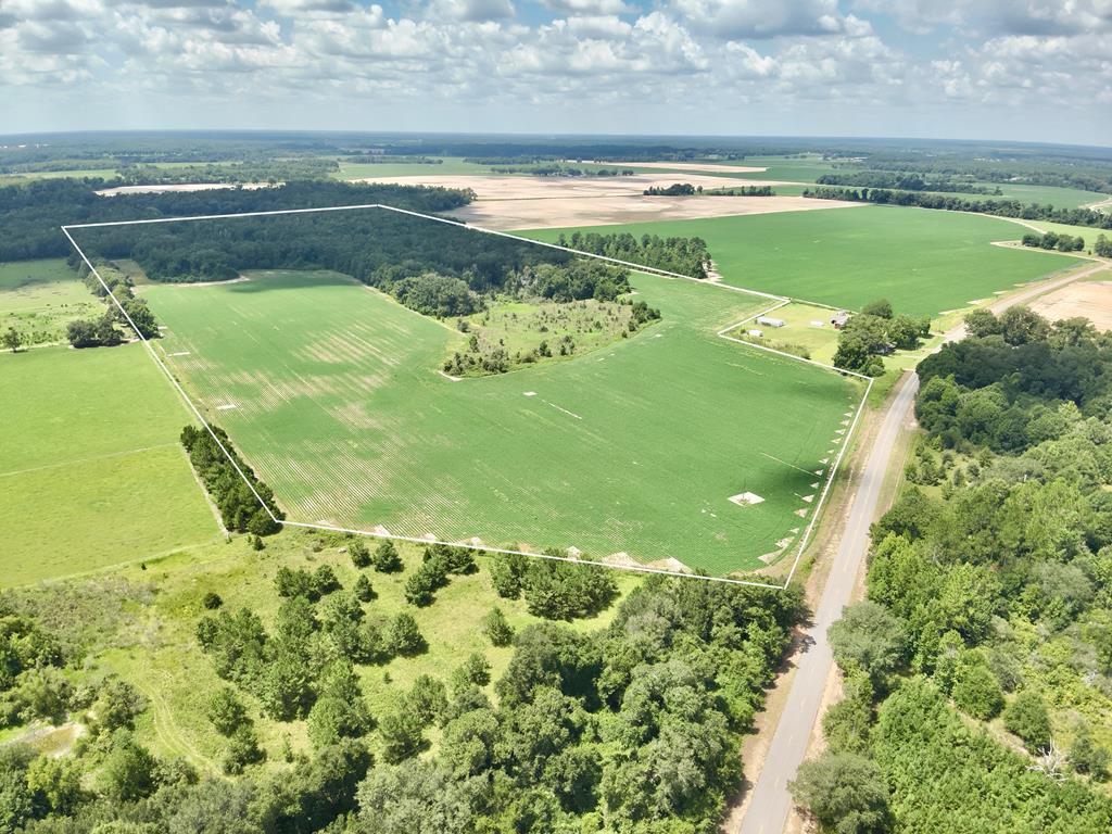 92-acres Bazemore Mill Pond Road Gordon, AL 36343 - Photo 1 of 15