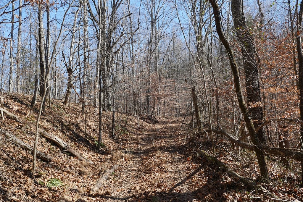 Tbd Tbd Dean Road Rose Hill, VA 24281 - Photo 79 of 97 Gallery Image 79