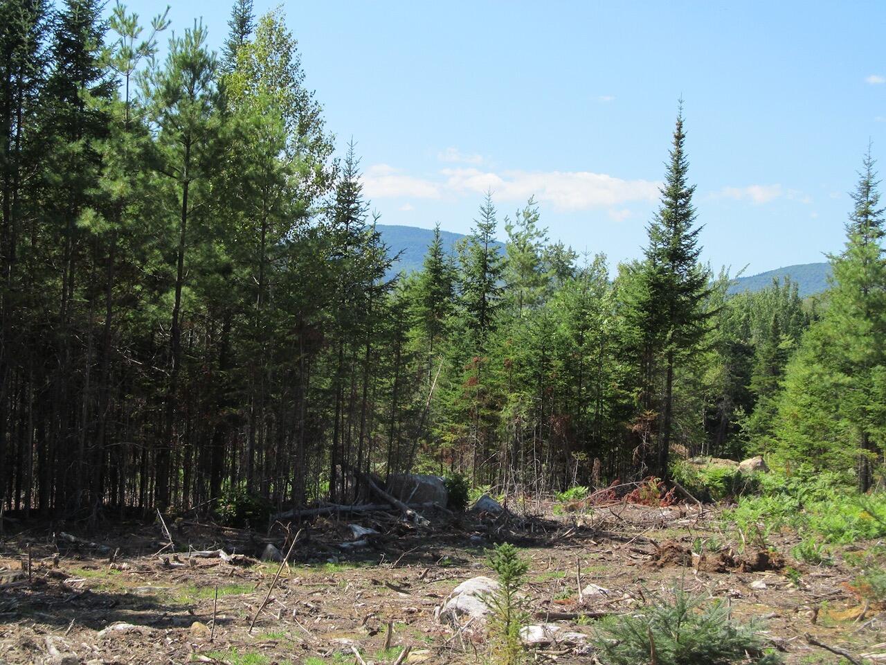 929 Center Hill Road Weld, ME 04285 - Photo 15 of 20 IMG_0939