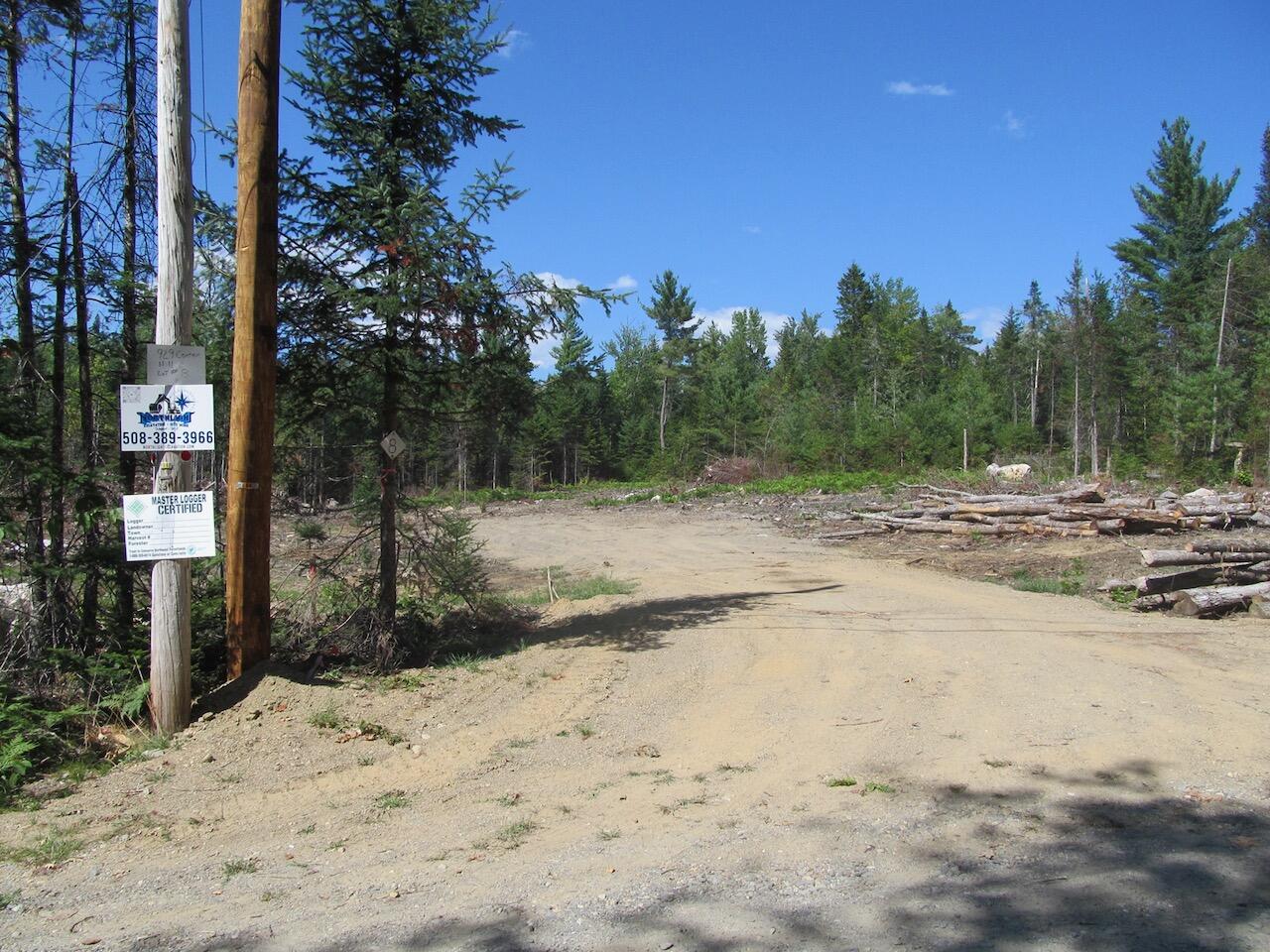 929 Center Hill Road Weld, ME 04285 - Photo 2 of 20 IMG_0925