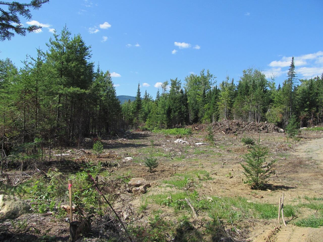 929 Center Hill Road Weld, ME 04285 - Photo 5 of 20 IMG_0928