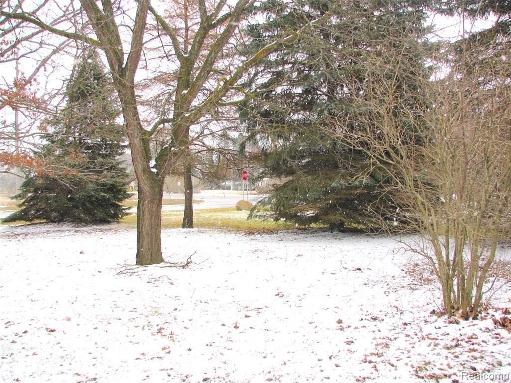 59100 Eight Mile Road South Lyon, MI 48178 - Photo 23 of 23 SIDE LOT