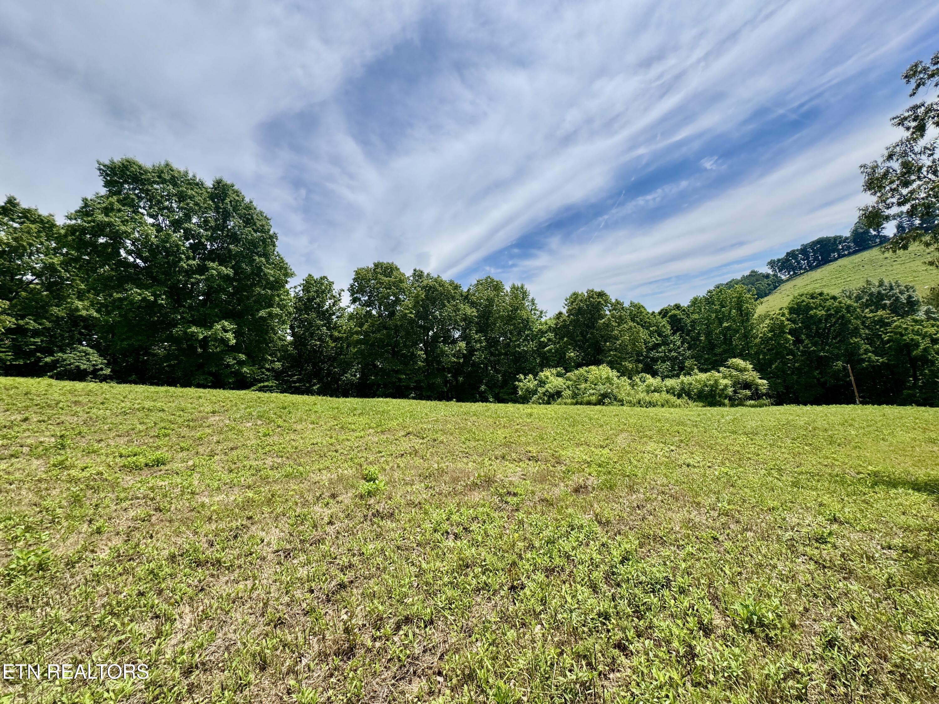 378 Johnson Hollow Road New Tazewell, TN 37825 - Photo 10 of 35 1-10