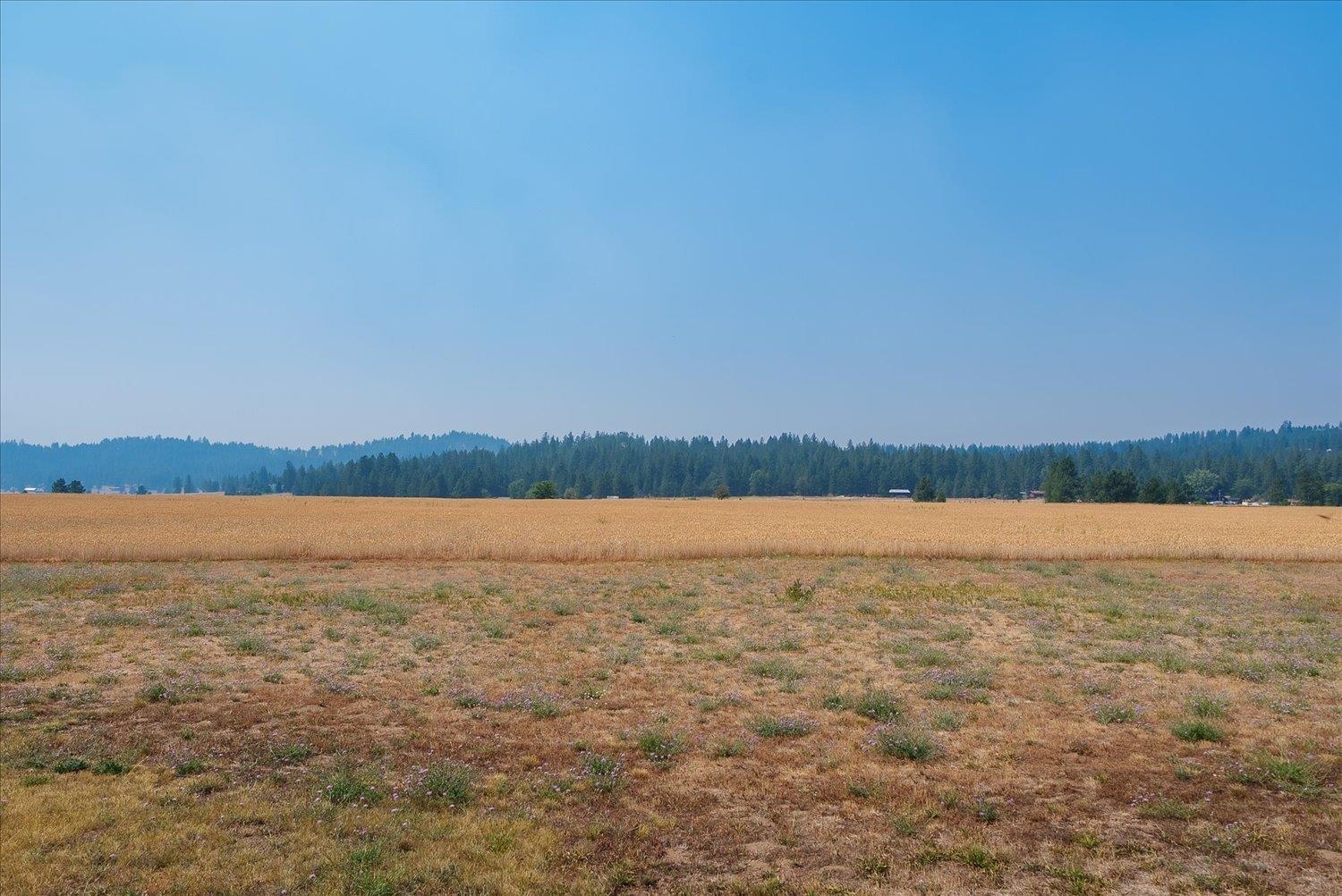 20211 North Austin Road Colbert, WA 99005 - Photo 46 of 49 Gallery Image 46