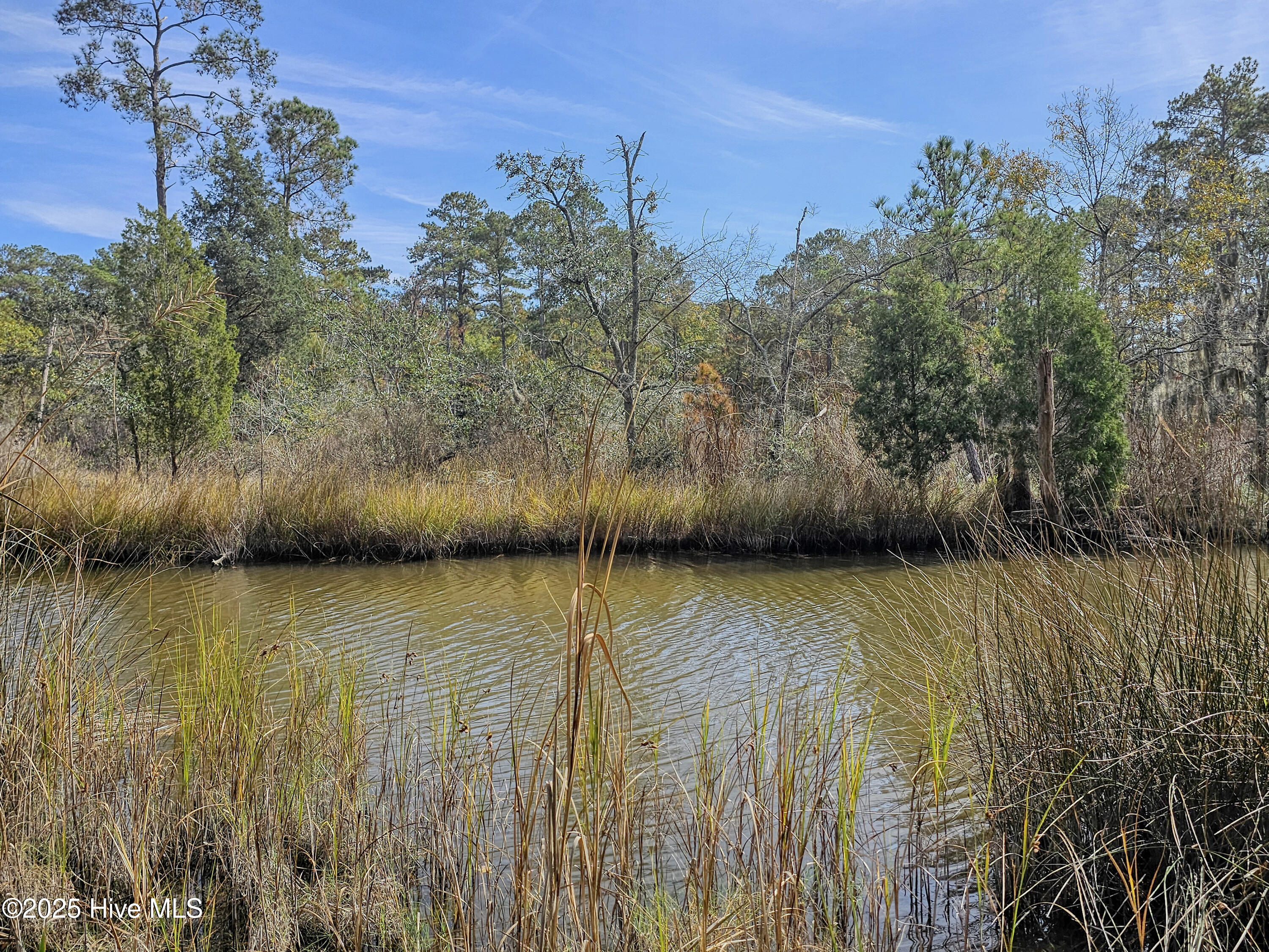 0 Lewis Road Aurora, NC 27806 - Photo 12 of 14 20241104_112926b