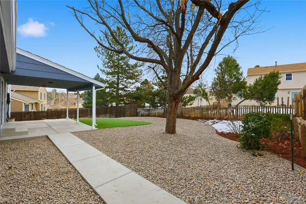 a view of a backyard with large trees