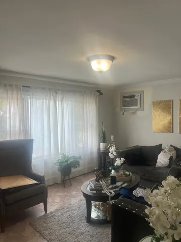 a living room with furniture and a potted plant