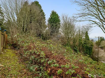 a view of a yard from a window