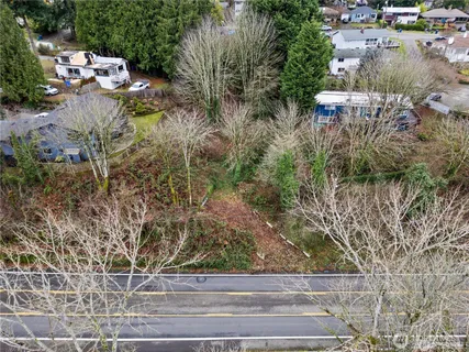 a view of a yard with plants