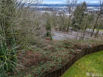 a view of yard with green space