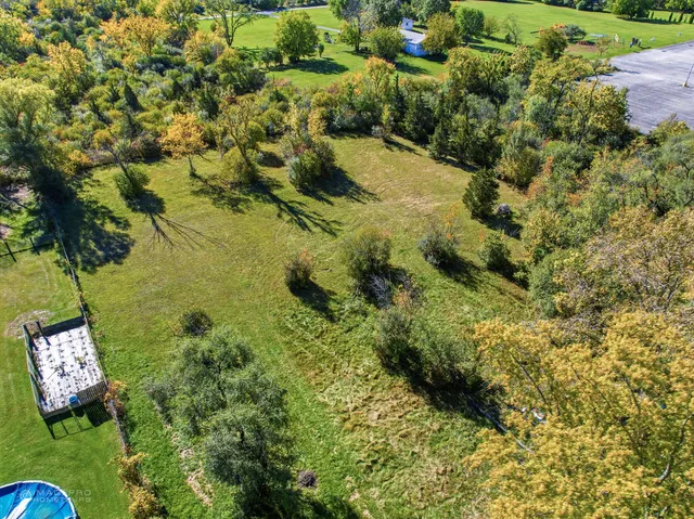 a view of a garden with plants