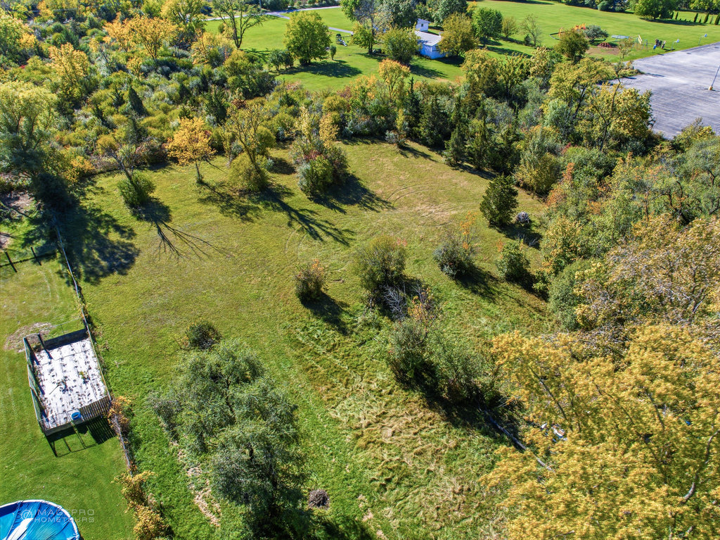 2131 West Exchange Street Crete, IL 60417 - Photo 10 of 14 a view of a garden with plants