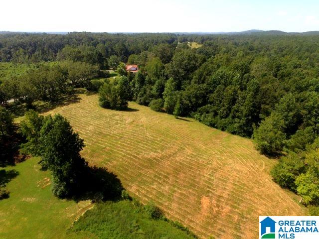 2265 State Lake Road Lineville, AL 36266 - Photo 7 of 39