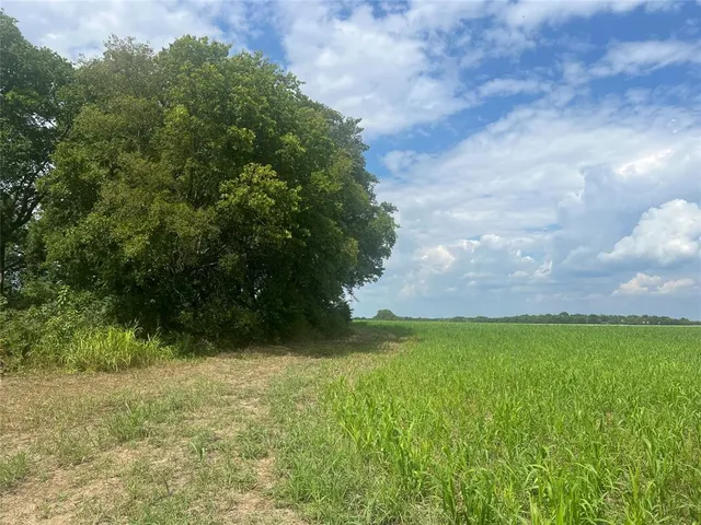 a view of a field of grass and trees
