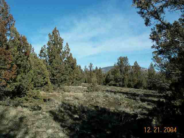 25-38 Red Rock Road Macdoel, CA 96058 - Photo 3 of 6 Gallery Image 3