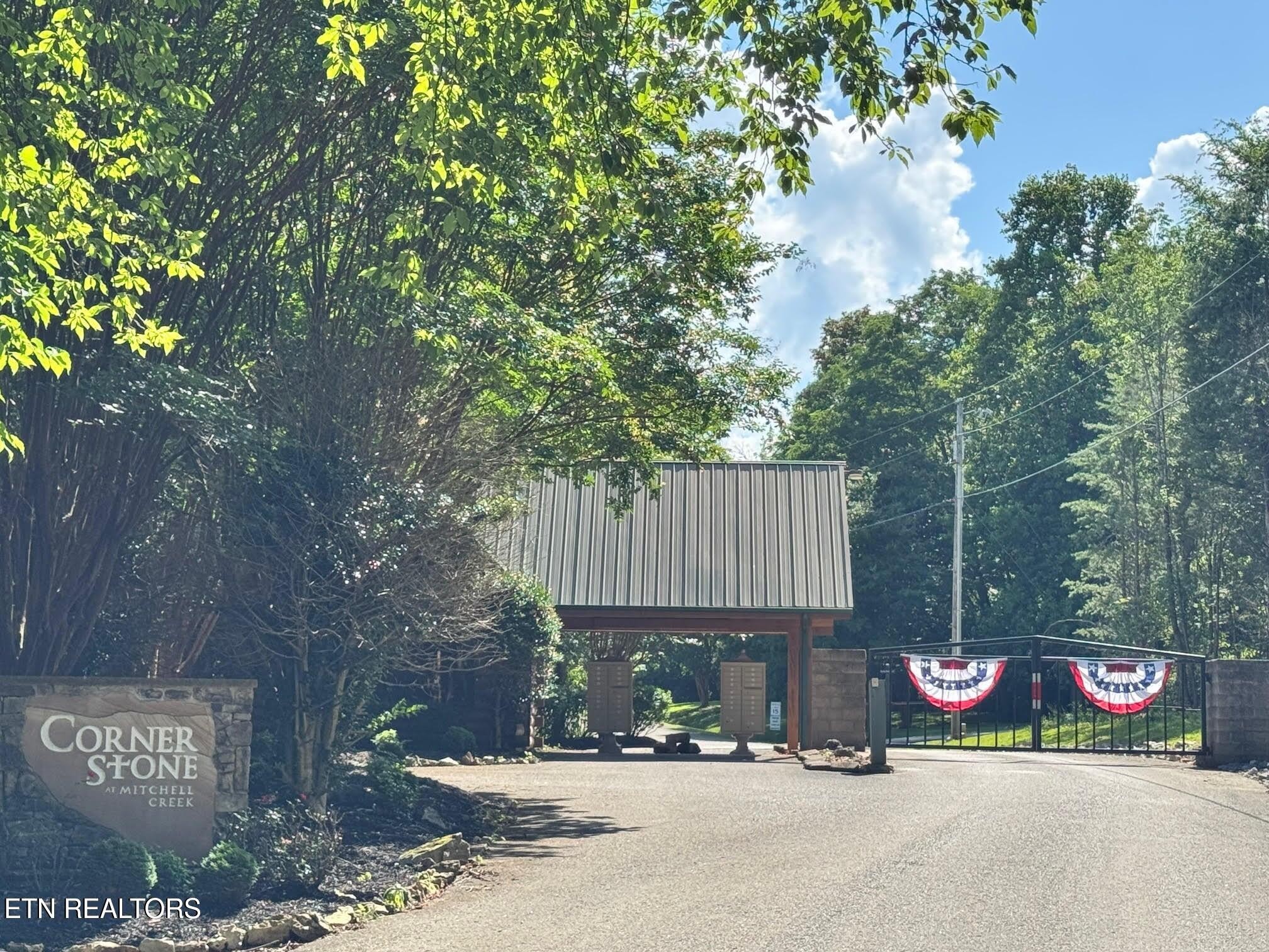 626 North Pointe Trail Allons, TN 38541 - Photo 4 of 11 a view of street along with residential houses