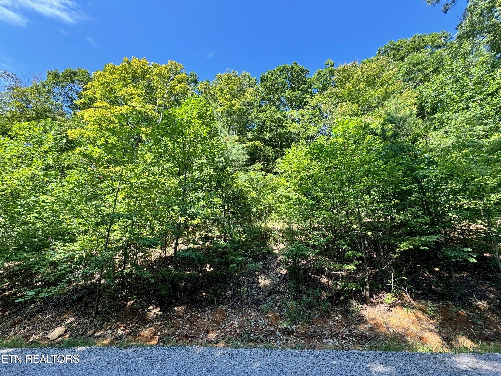 626 North Pointe Trail Allons, TN 38541 - Photo 6 of 11 a view of a garden