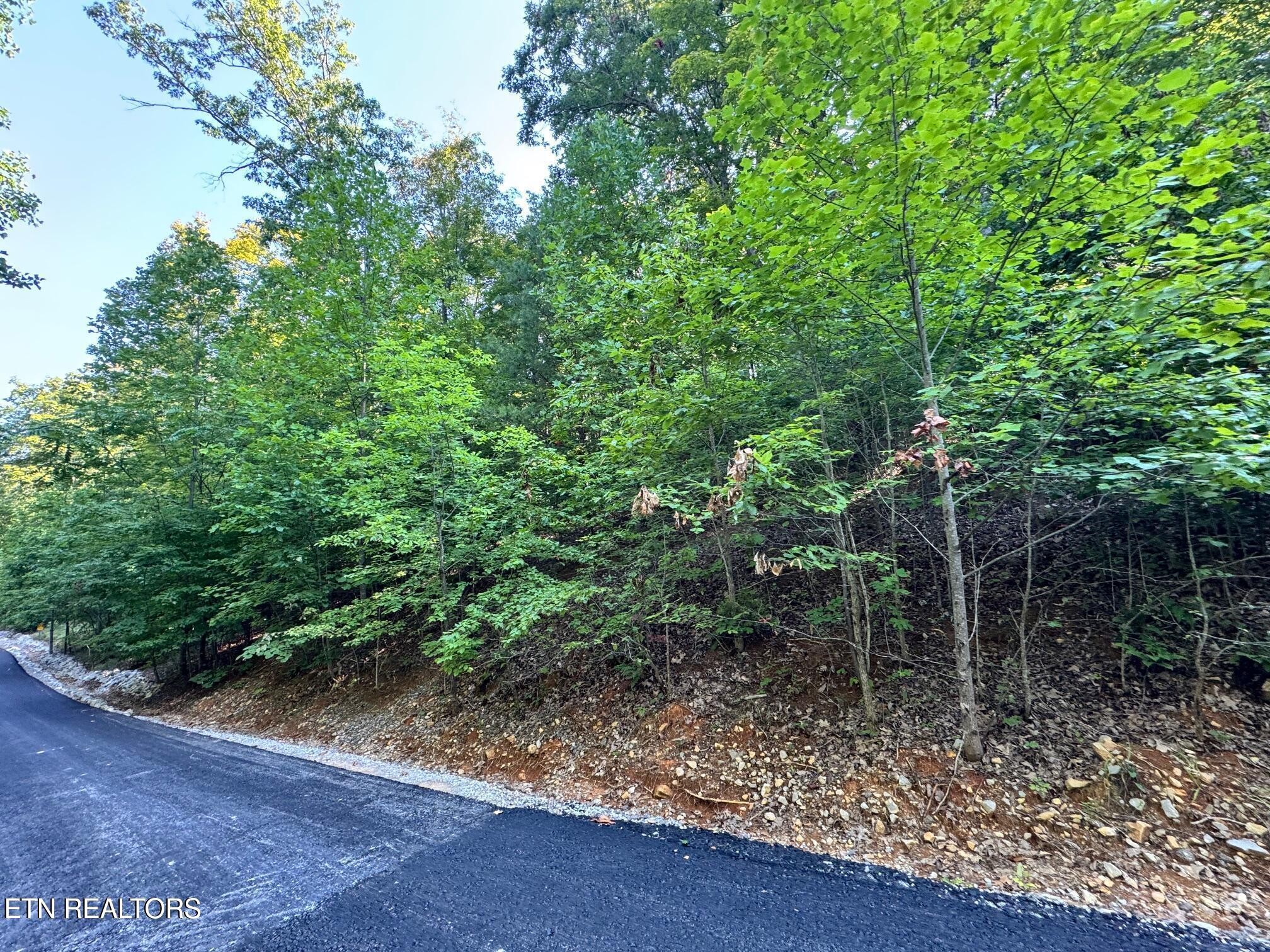 626 North Pointe Trail Allons, TN 38541 - Photo 10 of 11 a view of a forest with trees