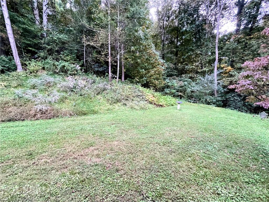 122 Haigler Road Southeast Lenoir, NC 28645 - Photo 4 of 15 Gallery Image 4