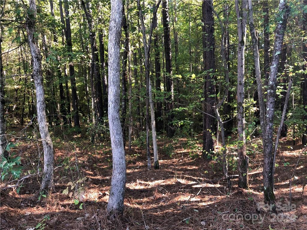 Lot 3 Rutan Court, Unit 3 Mooresville, NC 28117 - Photo 5 of 5