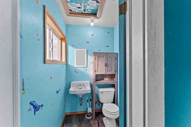 a bathroom with a toilet a sink and a mirror