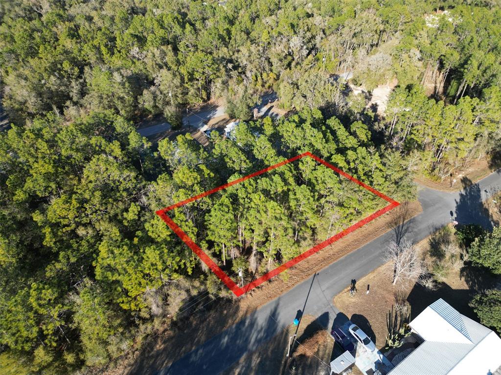 3153 East May Street Inverness, FL 34453 - Photo 2 of 5