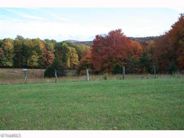 4520 Bull Mountain Road Stuart, VA 24171 - Photo 1 of 14 Land.
