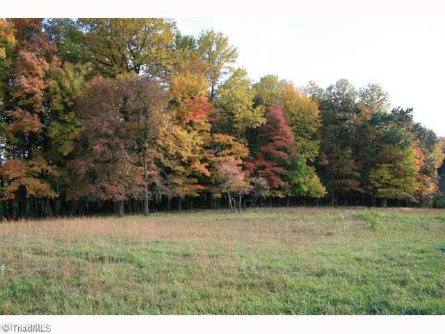 4520 Bull Mountain Road Stuart, VA 24171 - Photo 2 of 14 Land.