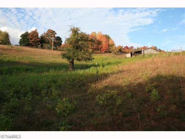 4520 Bull Mountain Road Stuart, VA 24171 - Photo 12 of 14 Land.