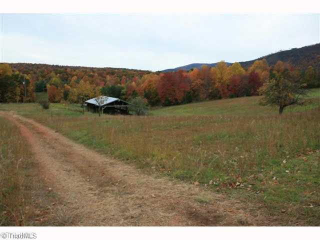 4520 Bull Mountain Road Stuart, VA 24171 - Photo 13 of 14 Land.