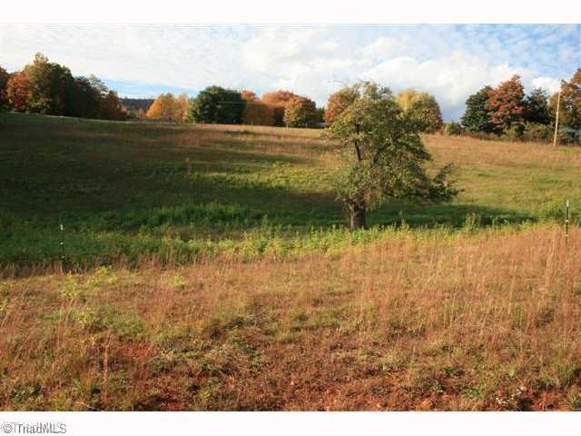 4520 Bull Mountain Road Stuart, VA 24171 - Photo 3 of 14 Land.