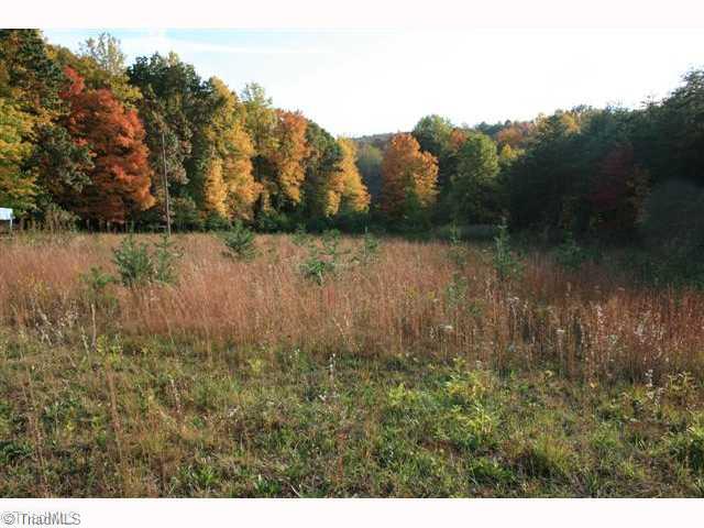 4520 Bull Mountain Road Stuart, VA 24171 - Photo 4 of 14 Land.