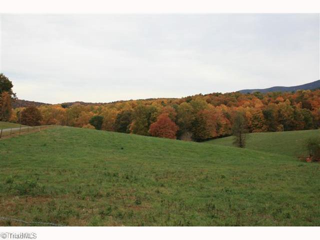 4520 Bull Mountain Road Stuart, VA 24171 - Photo 5 of 14 Land.