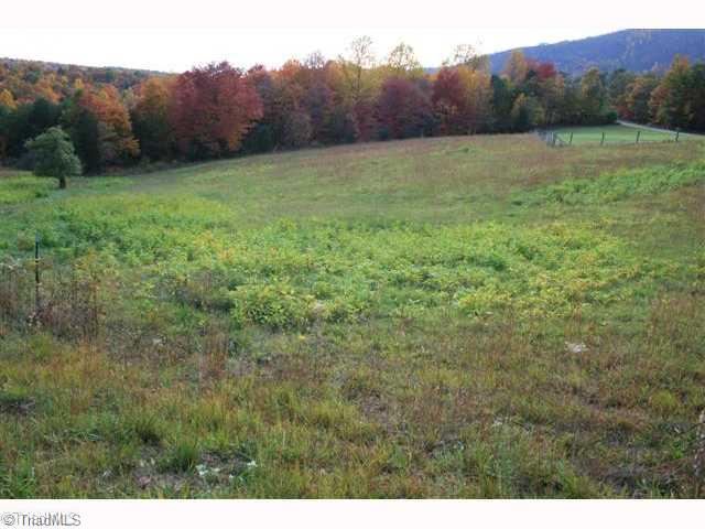 4520 Bull Mountain Road Stuart, VA 24171 - Photo 7 of 14 Land.